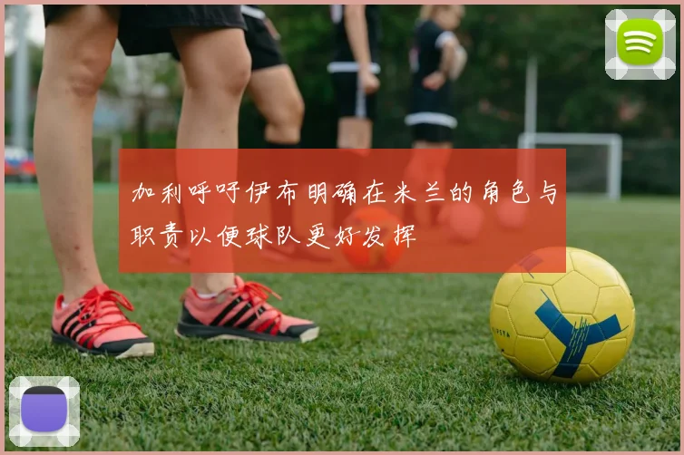 加利呼吁伊布明确在米兰的角色与职责以便球队更好发挥